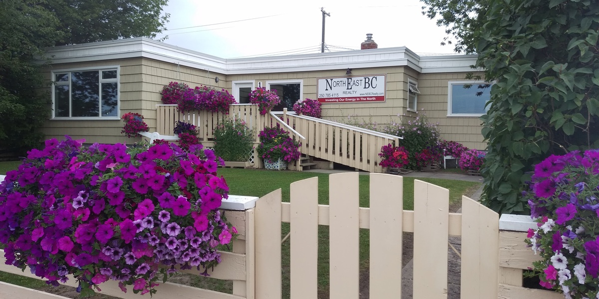 NorthEast BC Realty office flowers NorthEast BC Realty office flowers